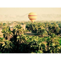 Incredible Wool Computer fr-FR